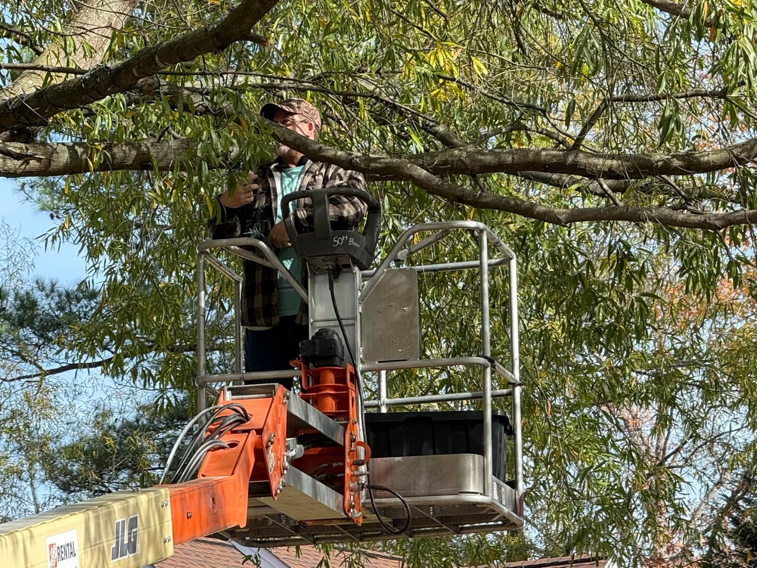 Working in the trees